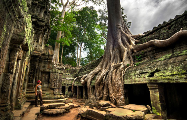 Ta Prohm Temple - The Angkor Guide